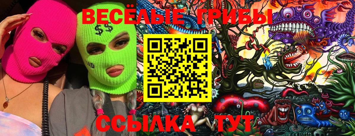 Галлюциногенные грибы Magic Shrooms Заволжье