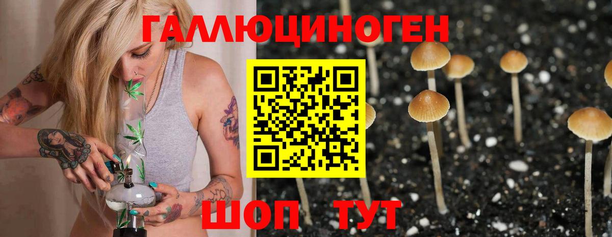 Псилоцибиновые грибы Psilocybine cubensis  Псилоцибиновые грибы Cubensis  Вход с VPN  Заволжье 